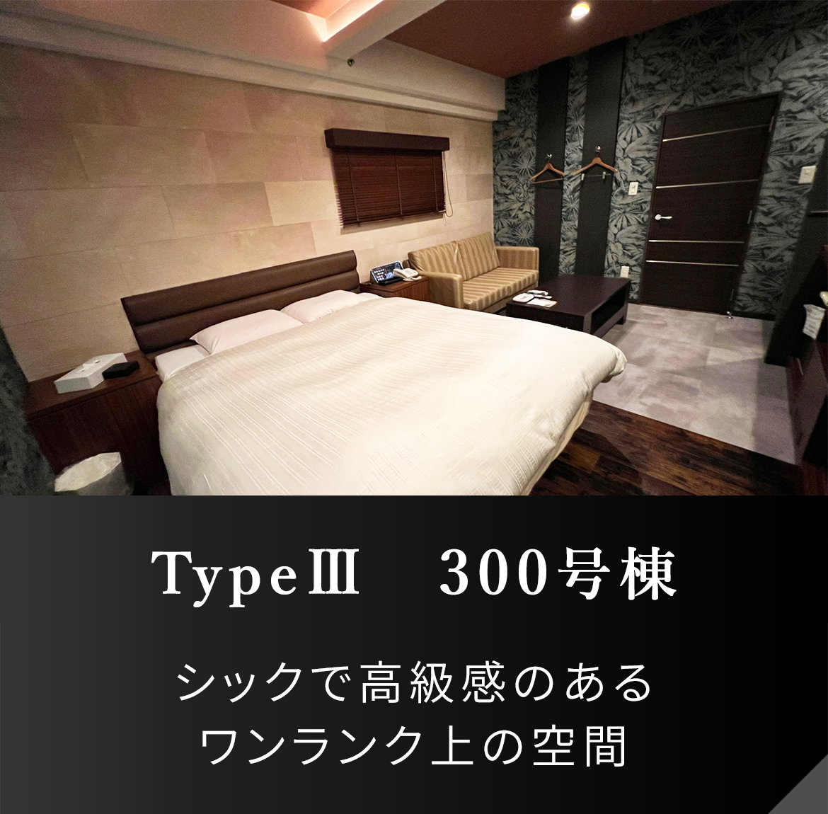 TypeⅢ