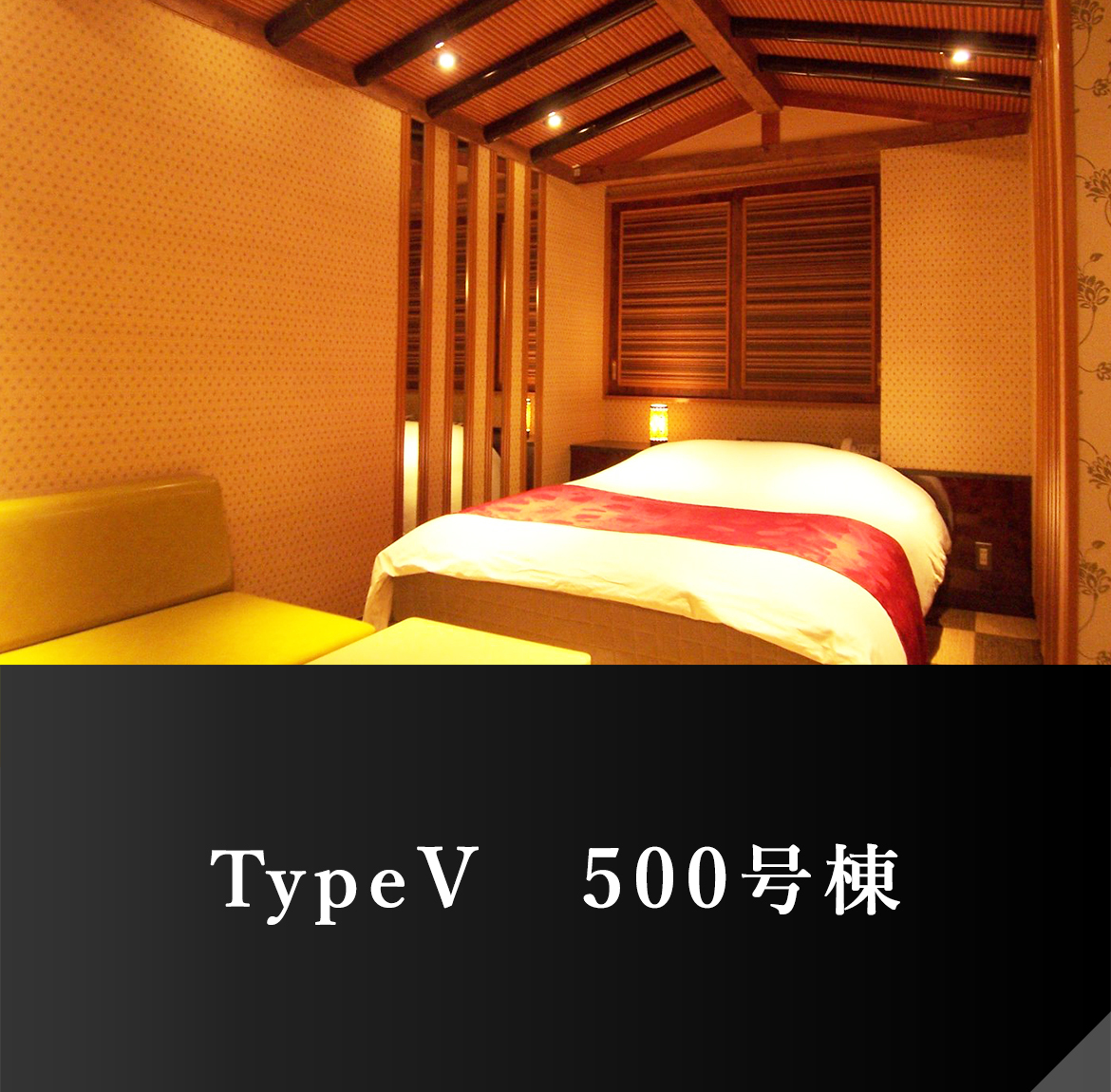 TypeⅤ