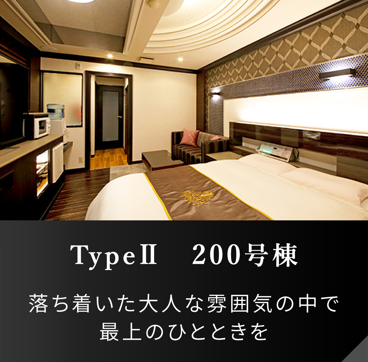 TypeⅡ