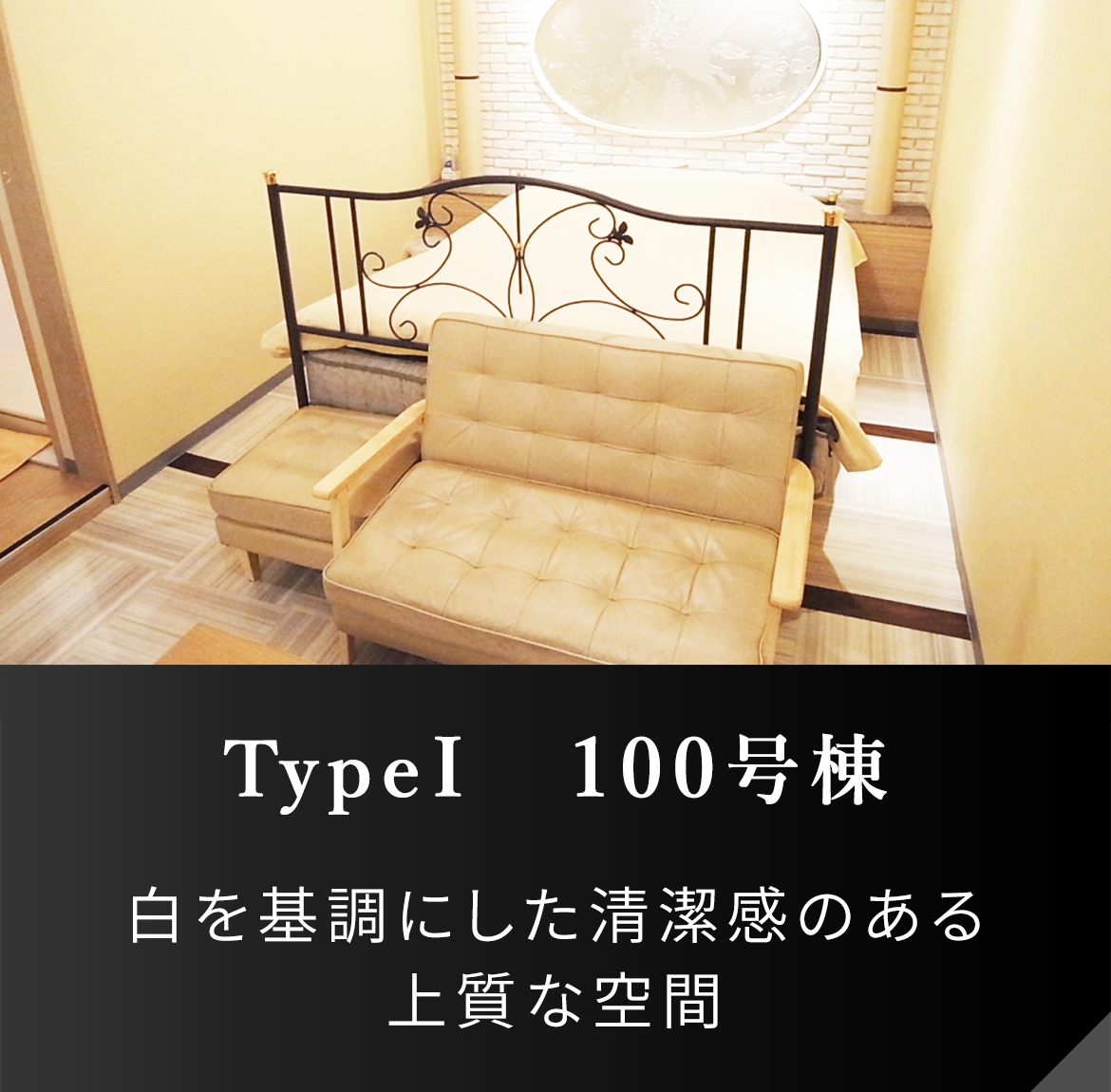 Type Ⅰ